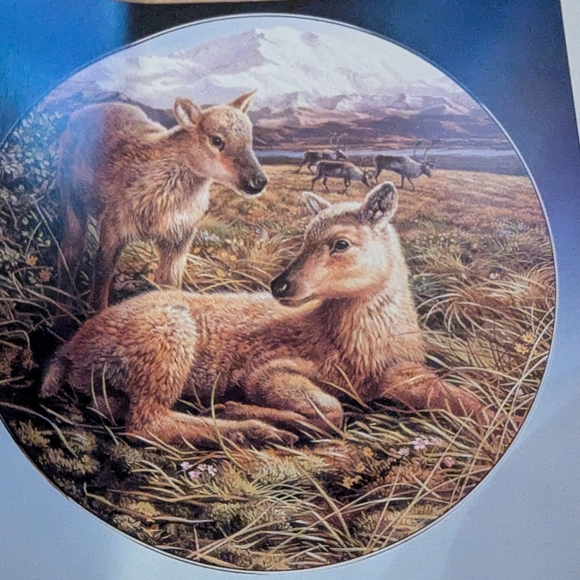 Royal Grafton REINDEER collector plate"Reindeer Young" - Picture 1 of 4